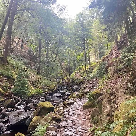 Hillside Eskdale Beckfoot (Copeland, Cumbria)