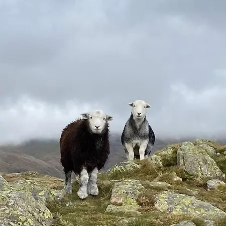 Hillside Eskdale Beckfoot (Copeland, Cumbria)