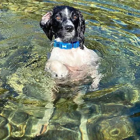 Hillside Eskdale Дом отдыха Beckfoot (Copeland, Cumbria)