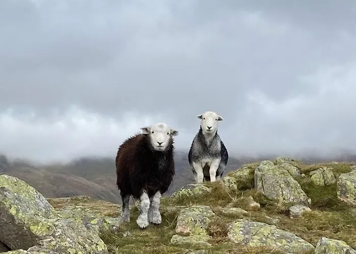 Hillside Eskdale Beckfoot (Copeland, Cumbria)