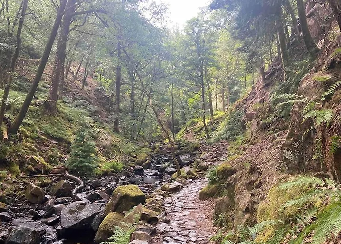Hillside Eskdale Beckfoot (Copeland, Cumbria)
